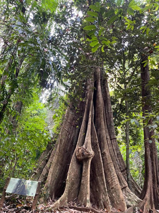 Hunny Home Koh Yao Yai Eksteriør billede